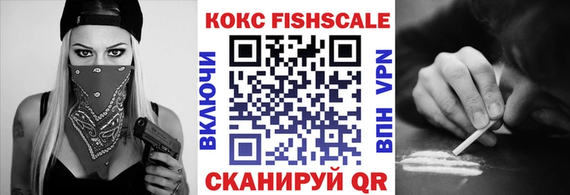 hydra ONION  где продают   Дмитровск  COCAIN Fish Scale 