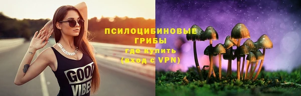 СК Абинск