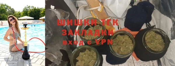ECSTASY Алзамай